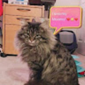 Meet your Posher, Arielle